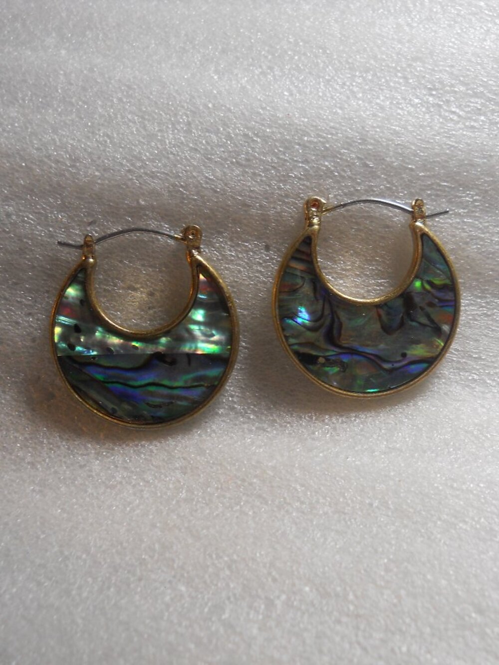 Chaps - Abalone Earrings   930
